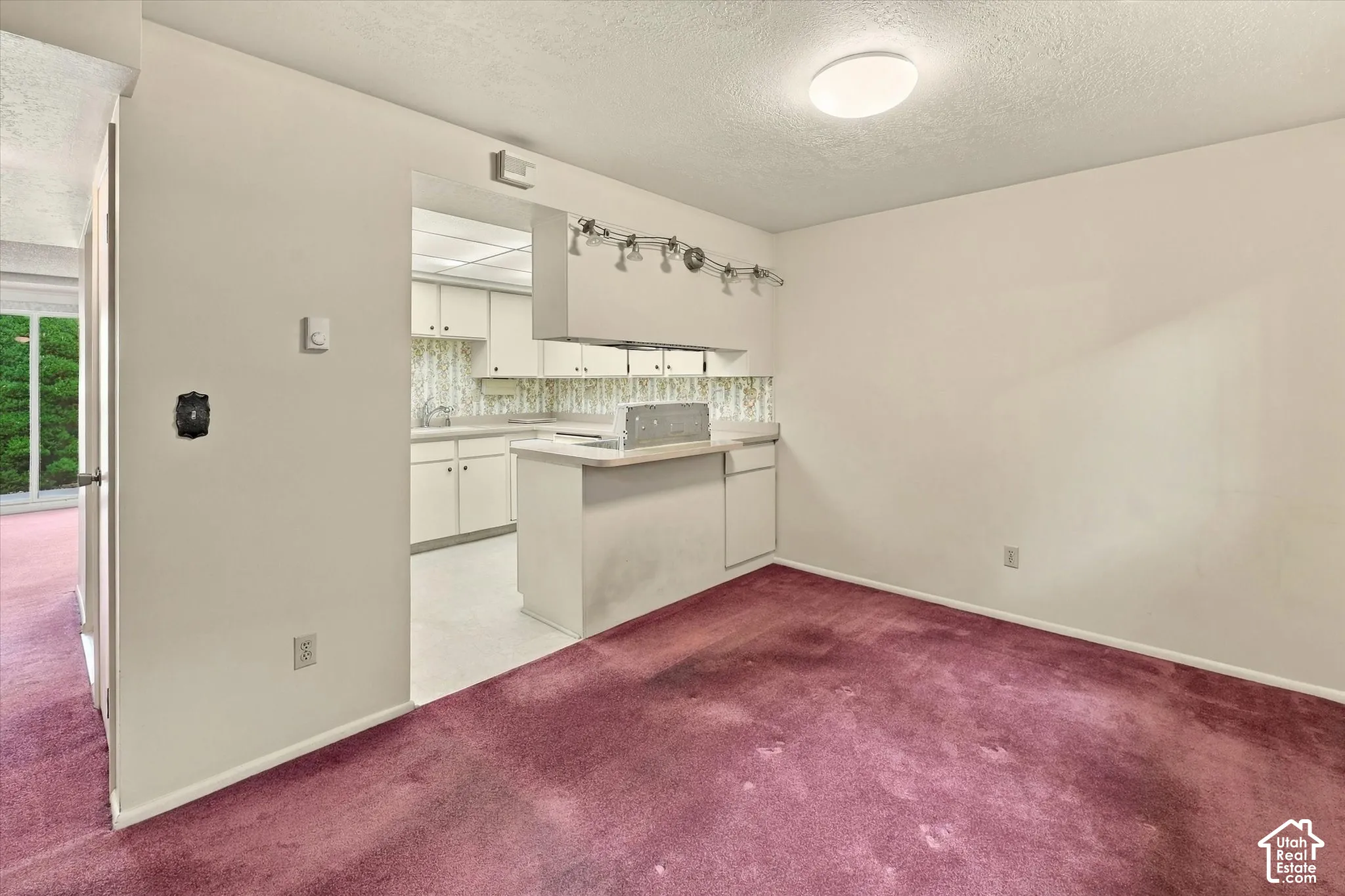 Kitchen area featuring white cabinetry, a peninsula counter, a flush-mount ceiling light fixture, and track lighting