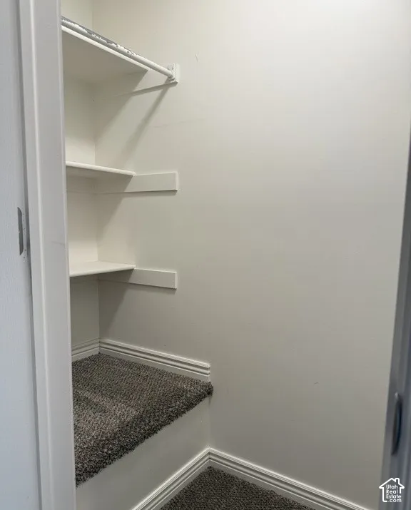 Storage closet featuring tiered shelving and carpeted flooring