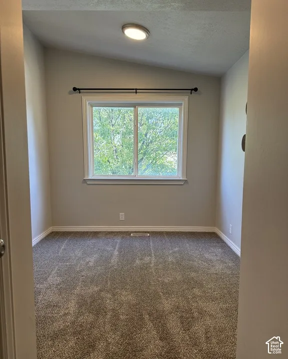 Room featuring neutral-toned carpeting, vaulted ceilings, and a sliding window with a dark metal curtain rod