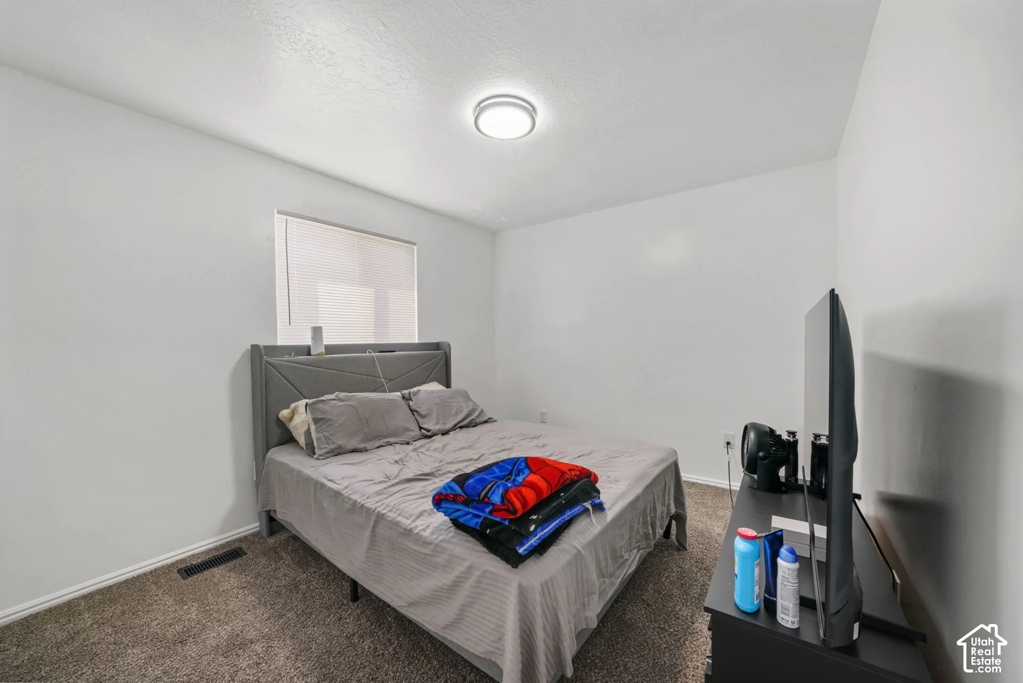 Neutral-toned walls, wall-to-wall carpeting, and a flush-mount overhead light fixture