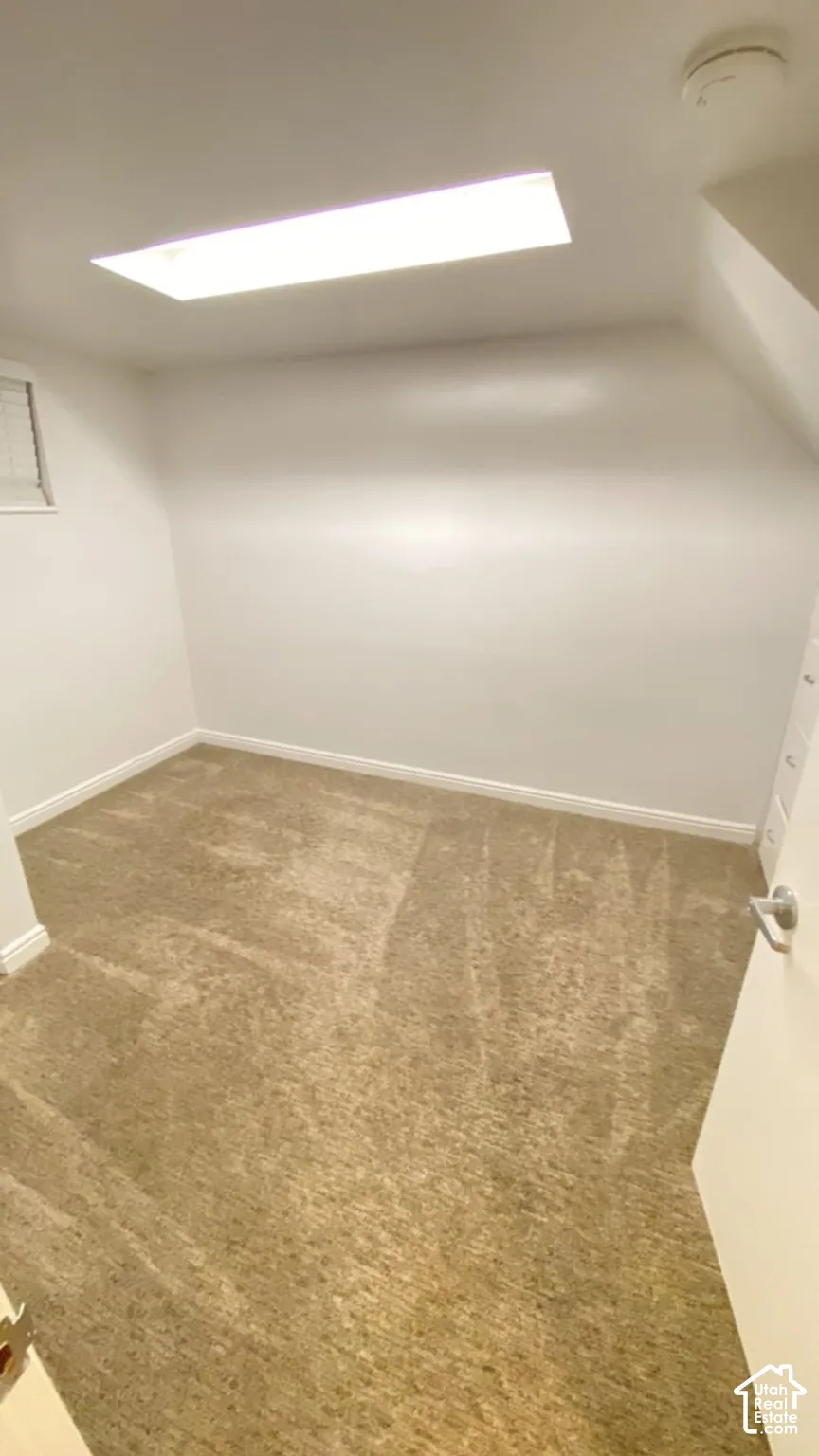 Room featuring neutral carpeting, a flush-mount skylight, and sloped ceiling architecture