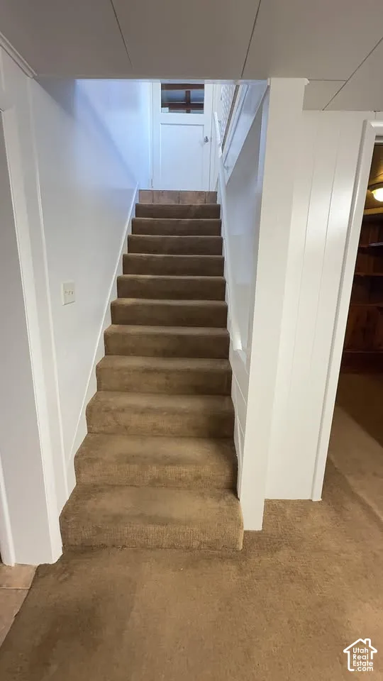 Staircase featuring neutral carpeting, white vertical paneling, and a painted wooden door with an upper glass pane