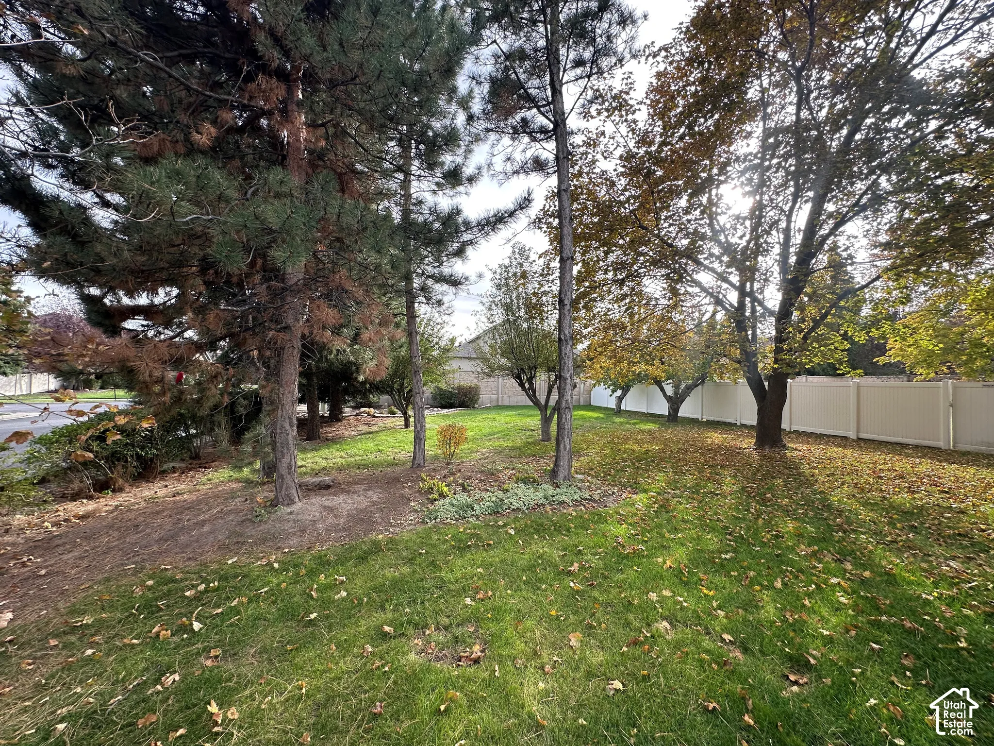 Expansive lot featuring mature trees, lawn, and perimeter vinyl fencing