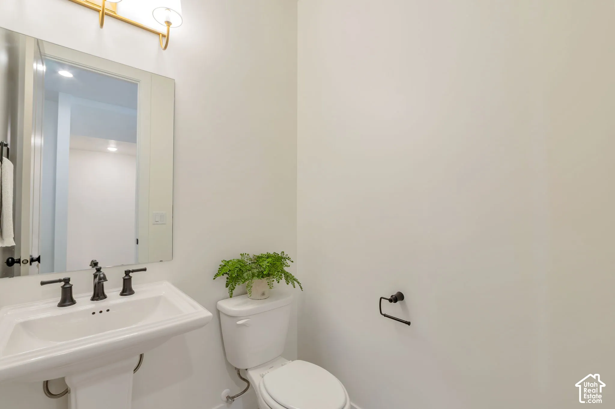 Wall-mounted rectangular mirror with brass-finish vanity lighting, pedestal sink, and dark metal hardware