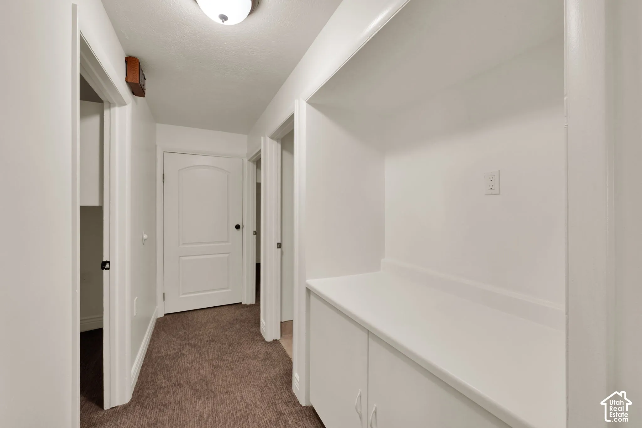 Built-in cabinetry with white countertop, arched-panel interior doors, and overhead flush-mount lighting