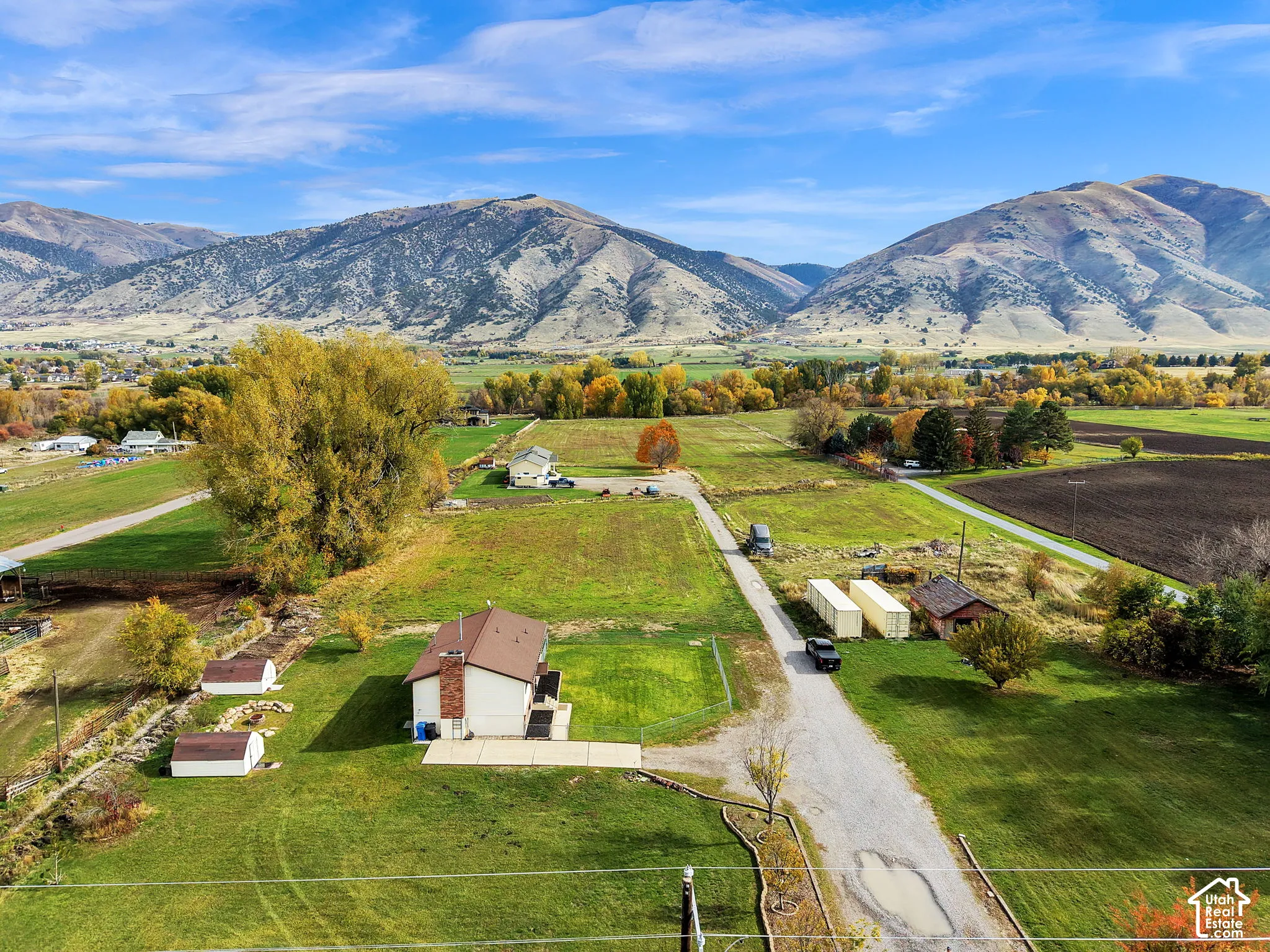 Expansive acreage featuring a detached structure, concrete patio, mountain backdrop, and surrounding mature trees