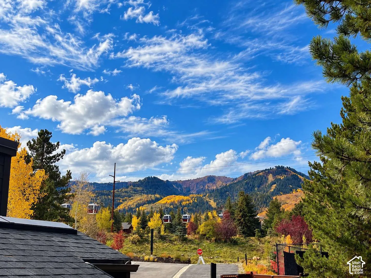 Mountain scenery featuring evergreen and deciduous trees, expansive sky, and gondola access