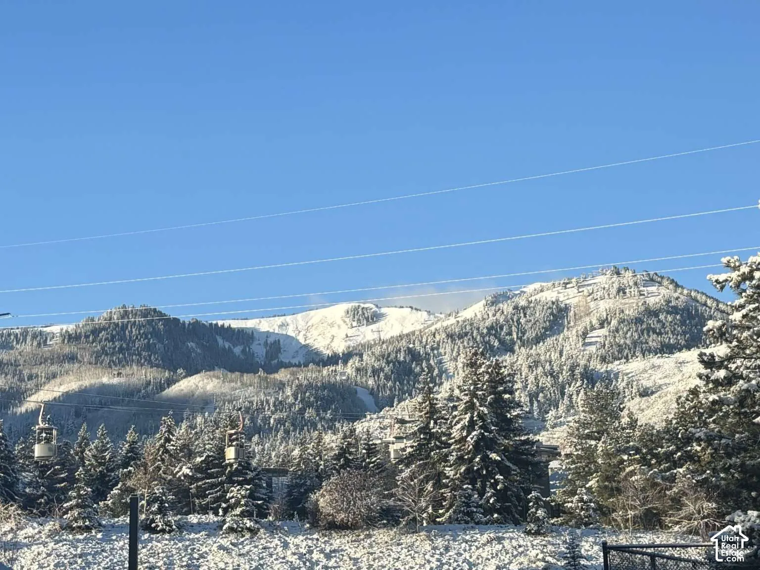 Mountain terrain featuring snow-covered evergreen trees and alpine peaks