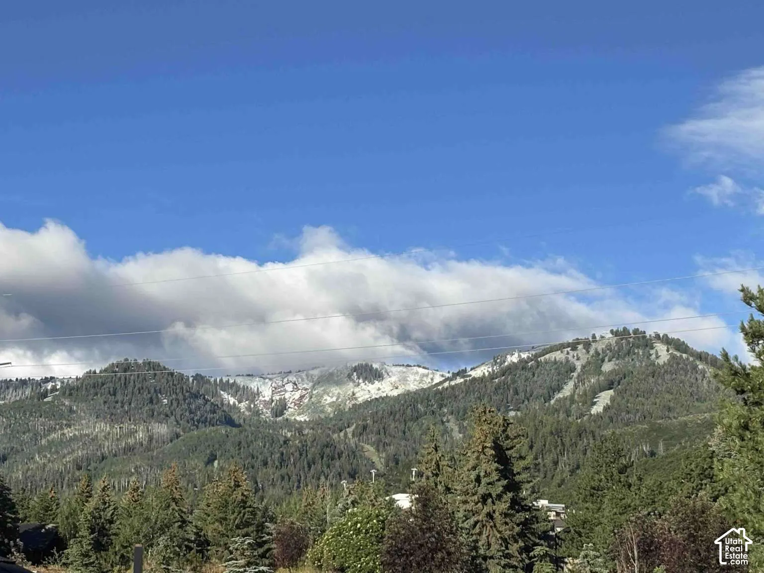 Expansive mountain backdrop featuring snow-dusted peaks, coniferous forests, and a clear blue sky