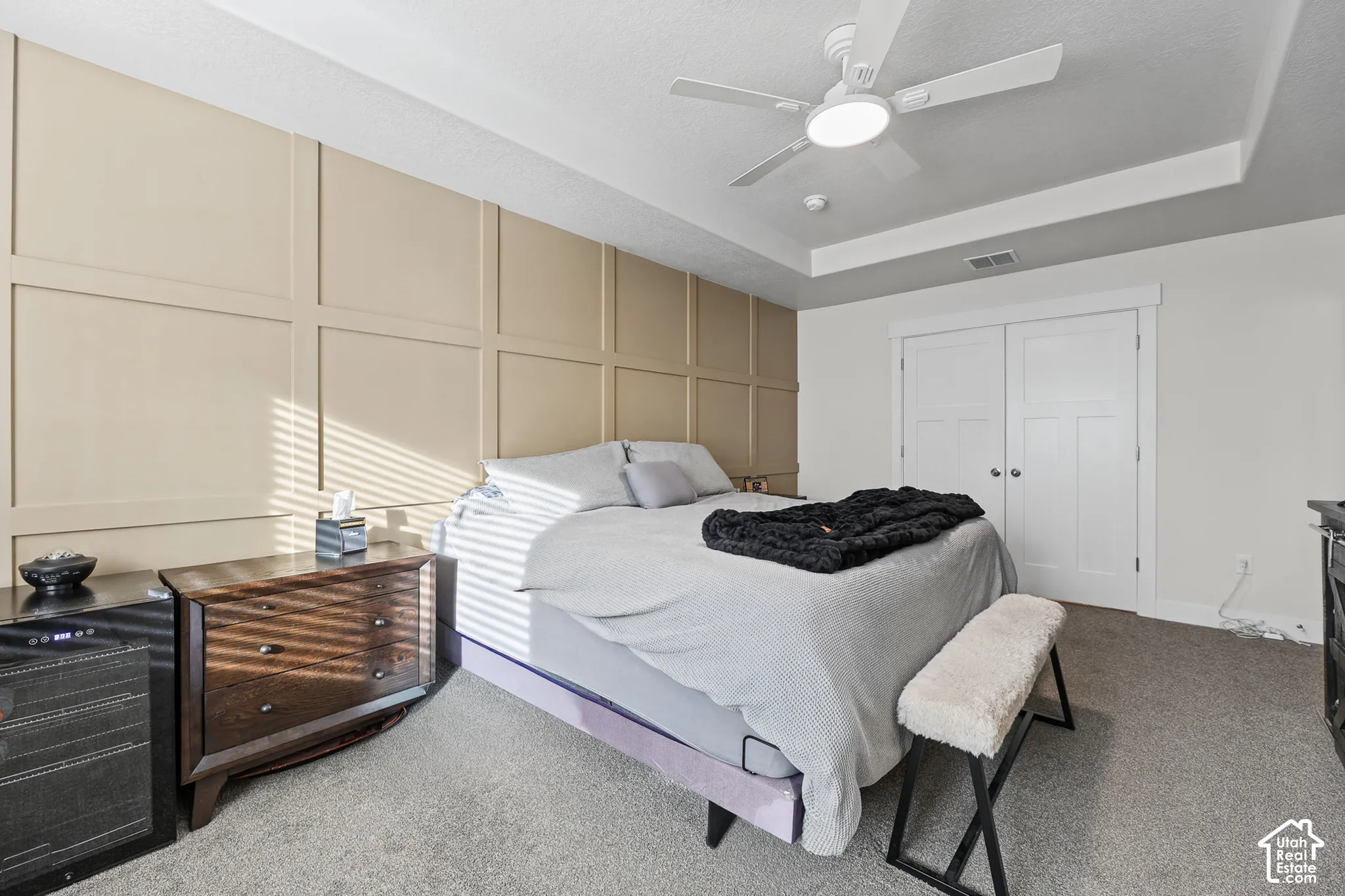 Paneled accent wall, tray ceiling, and white double-door closet with multi-panel detail