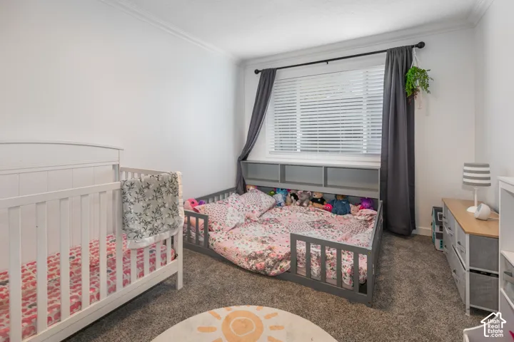 Bedroom featuring neutral-toned carpeting, crown molding, and a large window with horizontal blinds