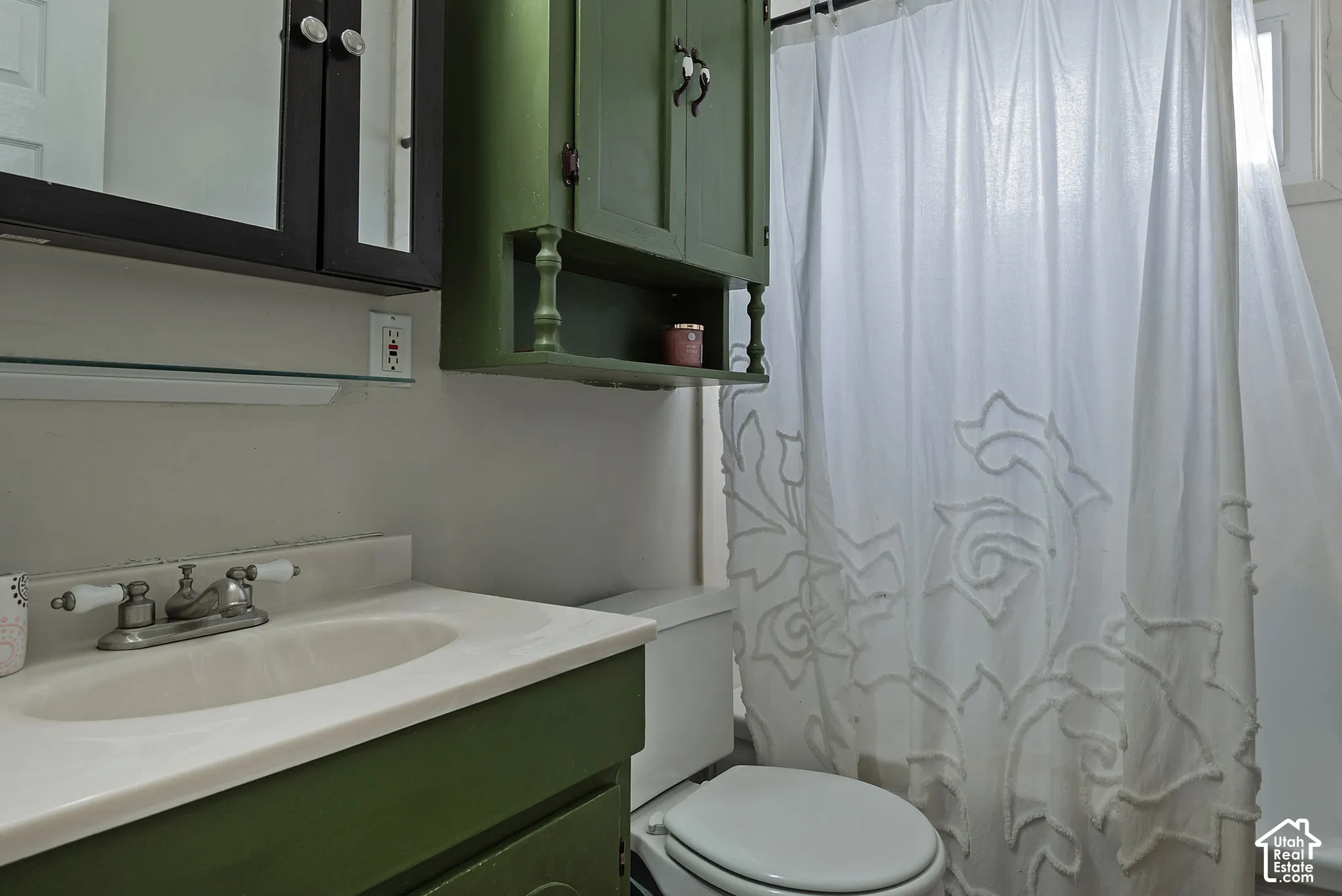 Bathroom featuring a vanity with integrated sink, dual-handle faucet, wall-mounted medicine cabinet, and built-in green cabinetry with upper shelving