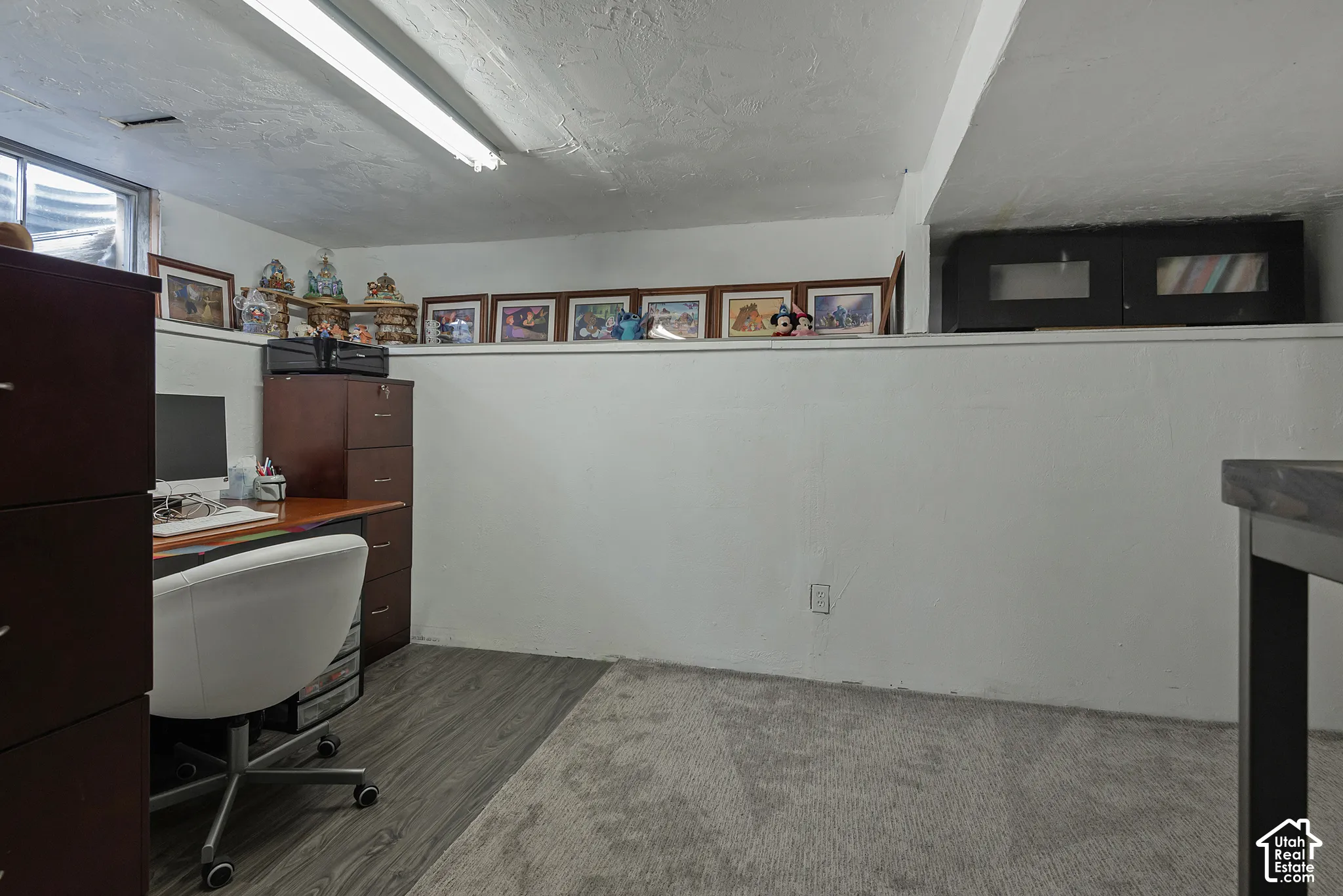 Interior space featuring white painted masonry walls, wood-finish flooring, carpeted flooring, a recessed window well, and linear fluorescent lighting