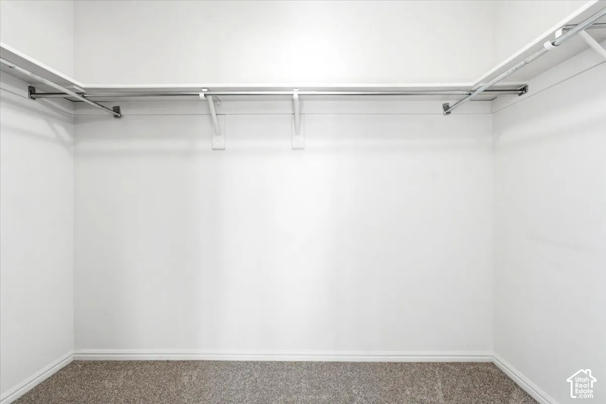 Walk-in closet featuring full-width shelving, integrated metal hanging rods, and carpeted flooring