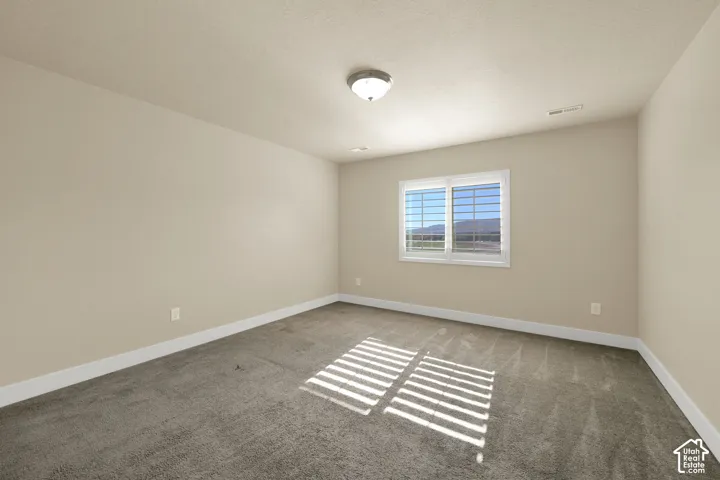 Neutral-toned interior featuring wall-to-wall carpeting, a dual-pane sliding window, and a central flush-mount light fixture