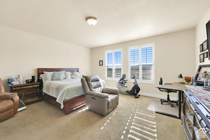 Neutral-toned interior space featuring carpeting, dual windows with plantation shutters, and a central ceiling-mounted light fixture