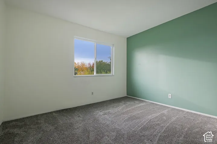Interior room featuring neutral wall paint, a sage green accent wall, wall-to-wall carpeting, and a sliding glass window