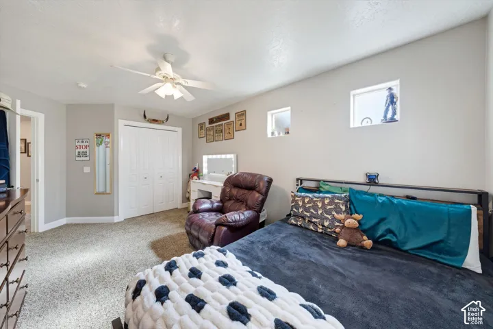 Room featuring textured wall-to-wall carpeting, dual high-set square windows, a white ceiling fan with integrated lighting, and a closet with bifold doors