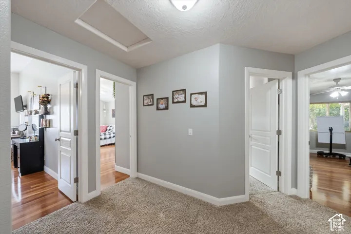 Neutral-toned interior featuring wall-to-wall carpeting, wood-finish flooring, multi-panel doors, and an integrated ceiling light fixture