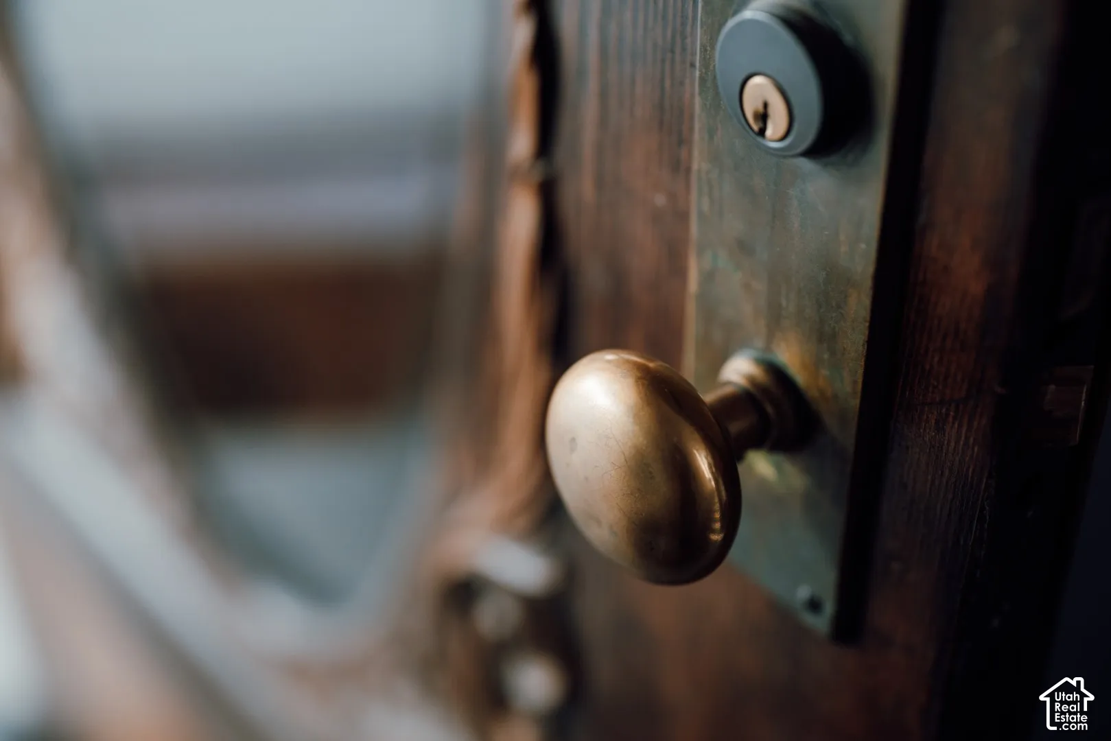 Dark wood door featuring a circular brass knob, rectangular metal backplate, and a recessed cylinder deadbolt