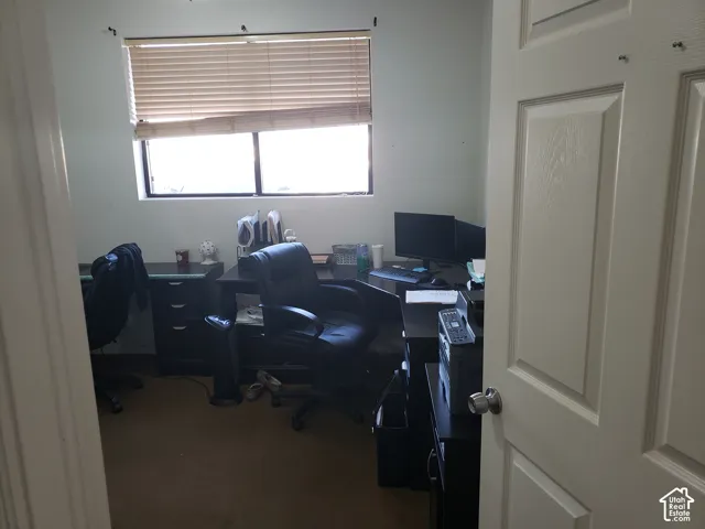 Room featuring carpeting, a multi-panel door with a brushed-metal knob, and a window equipped with horizontal slat blinds