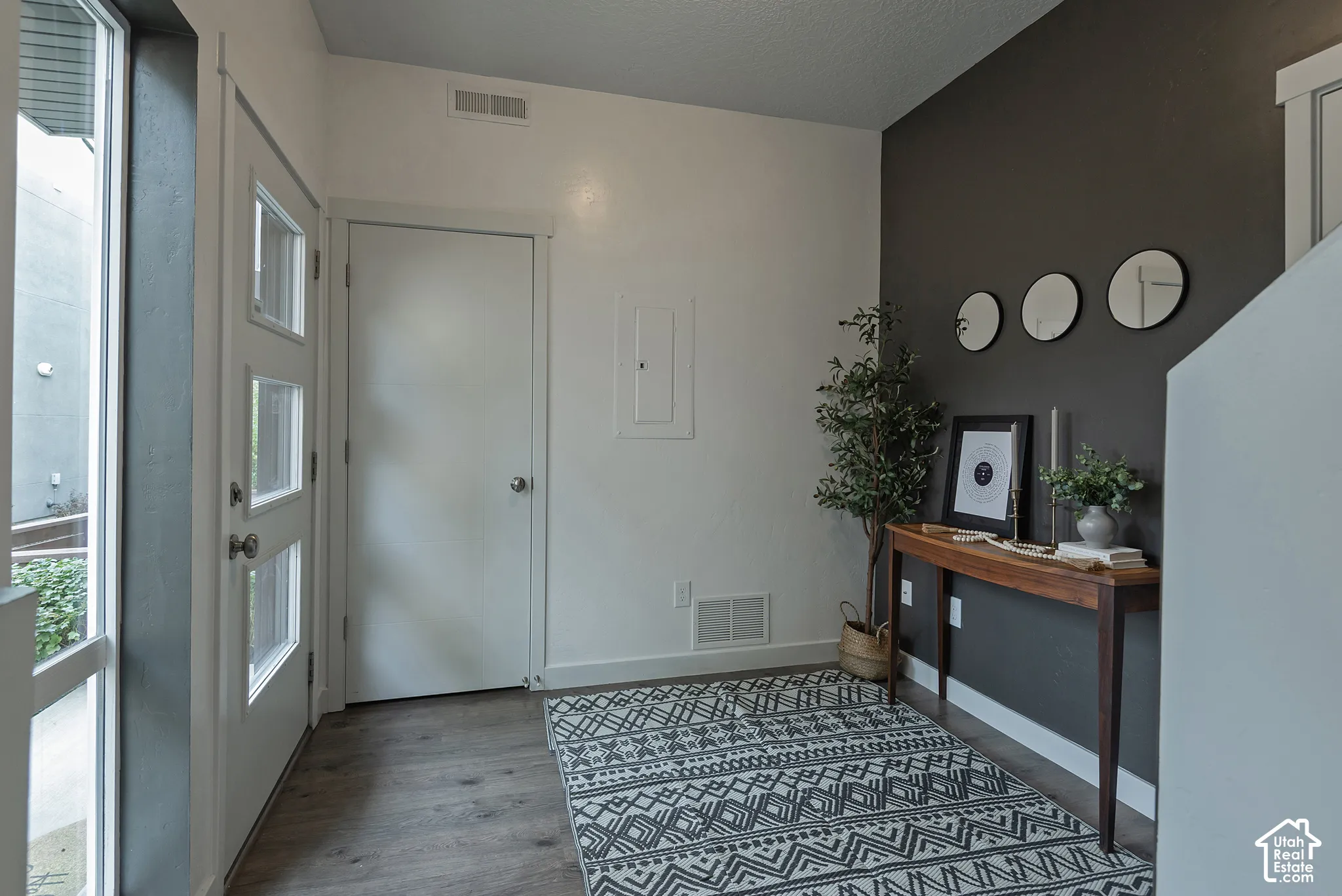 Entryway featuring wood-finish flooring, a multi-pane glass entry door, and a contrasting charcoal accent wall