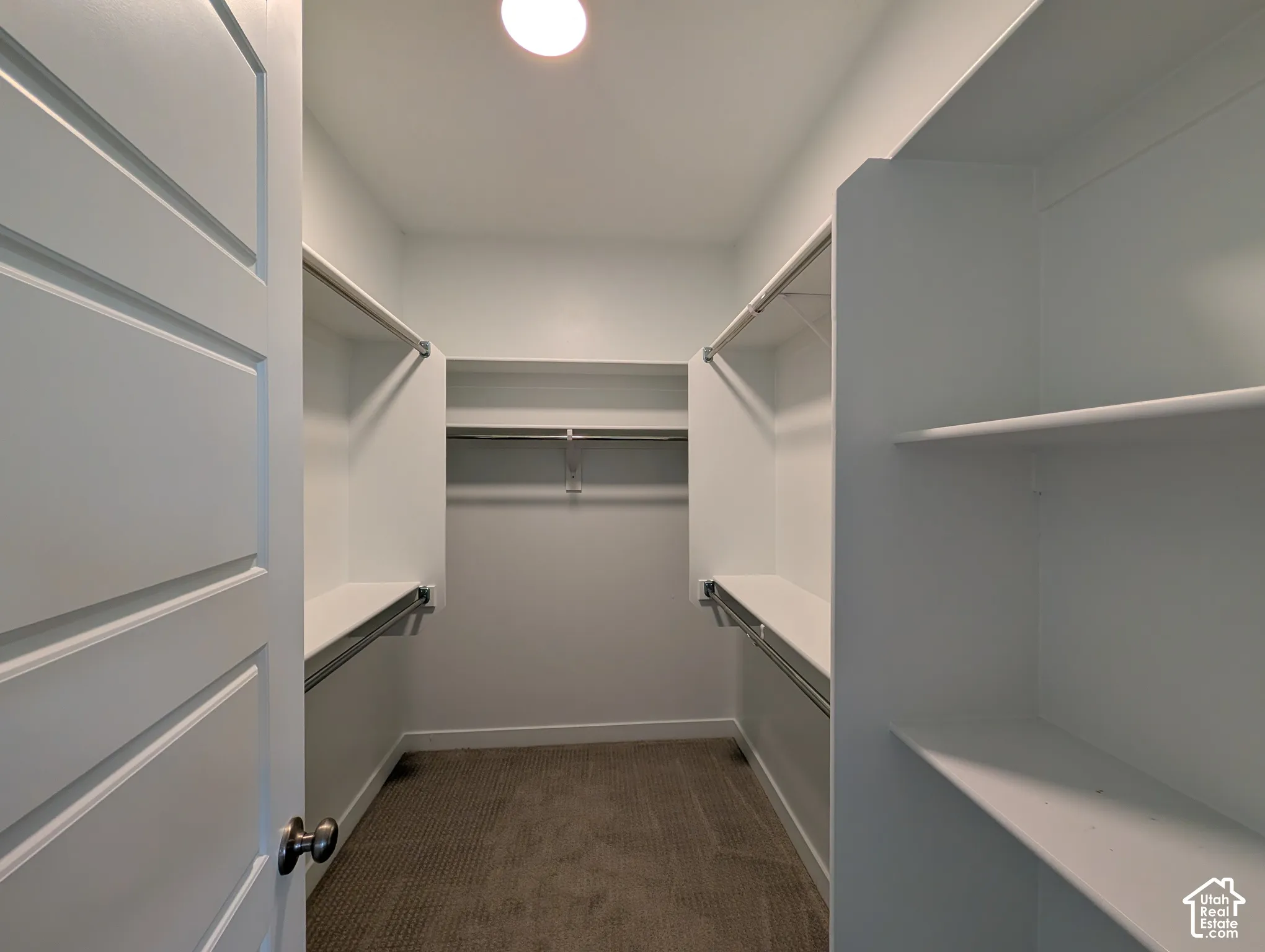 Walk-in closet featuring multi-level hanging rods, built-in shelving, carpeted flooring, and a paneled interior door