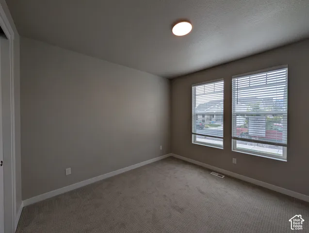 Neutral-toned interior space featuring neutral wall-to-wall carpeting, dual windows with integrated blinds, and a central flush-mount ceiling light fixture