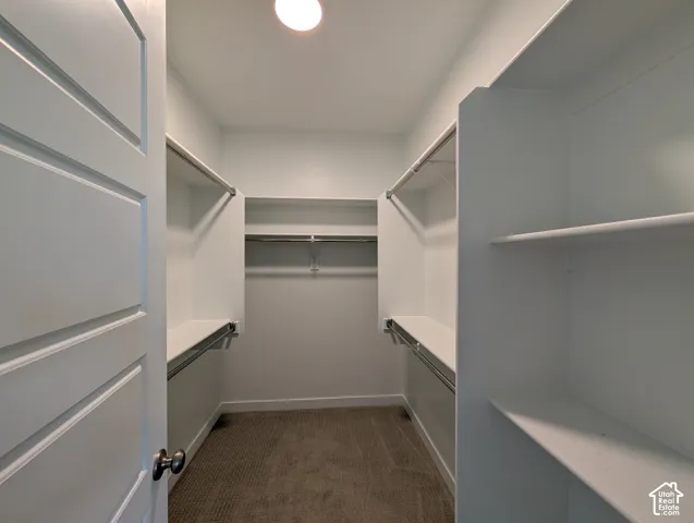 Walk-in closet featuring multi-level hanging rods, built-in shelving, carpeted flooring, and a paneled interior door
