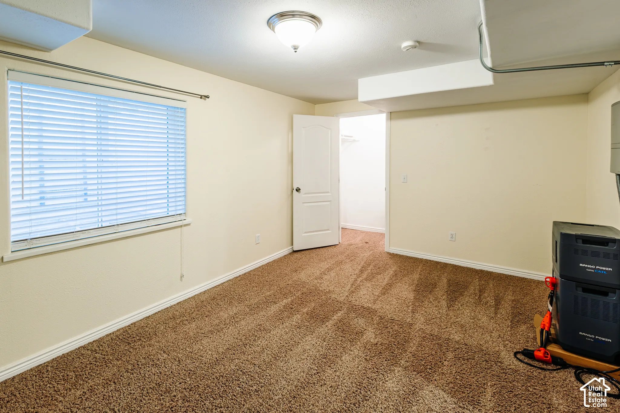 Room featuring textured carpet, window with horizontal blinds, flush-mount light fixture, and interior door opening to a closet area