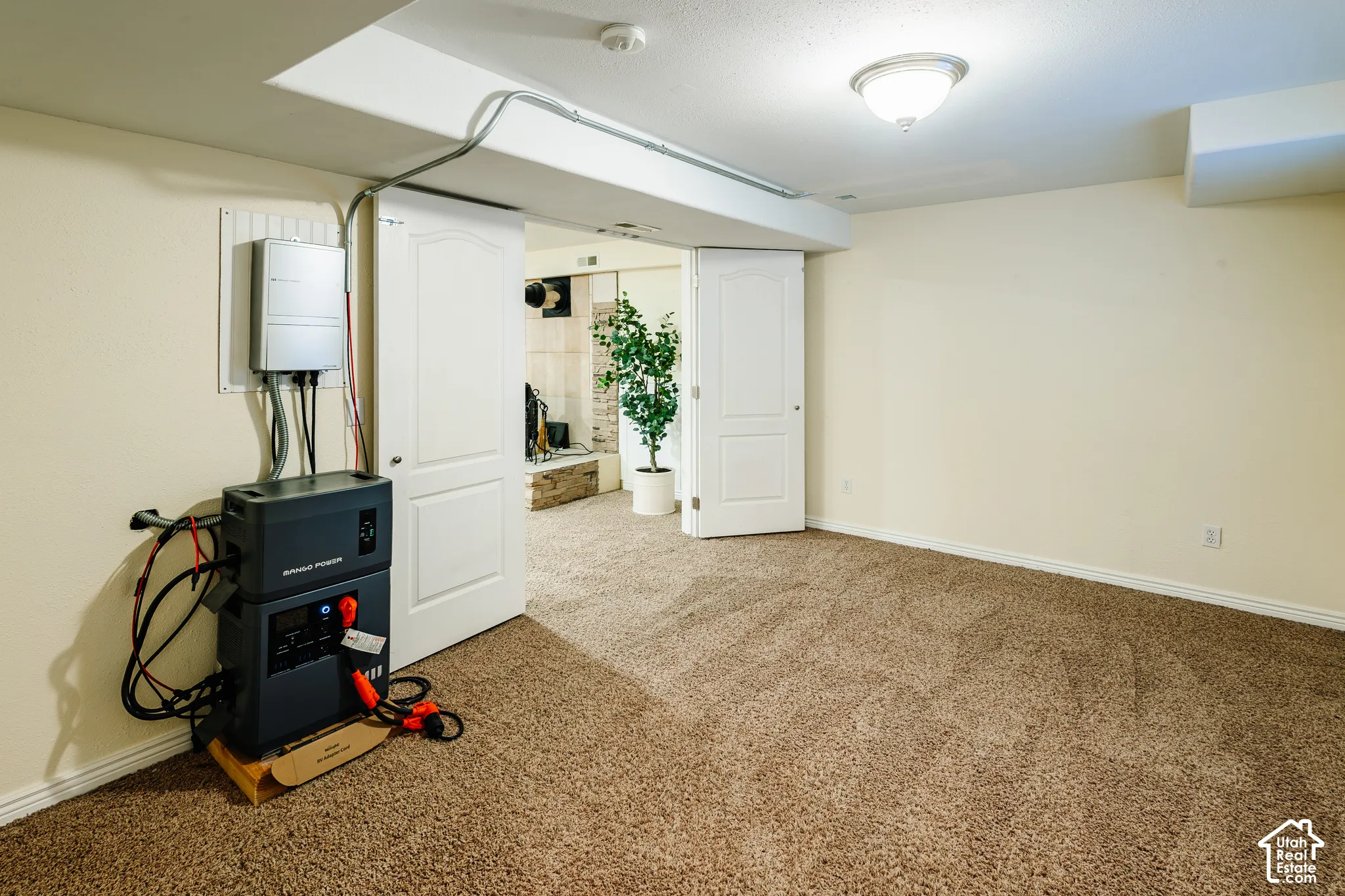 Neutral-toned interior space featuring wall-to-wall carpeting, two white paneled doors, and a flush-mount ceiling light fixture