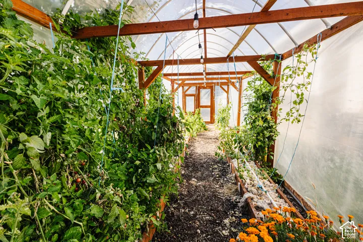 Greenhouse structure featuring a wood-frame arch design, translucent poly-film covering, and integrated hanging pendant lighting