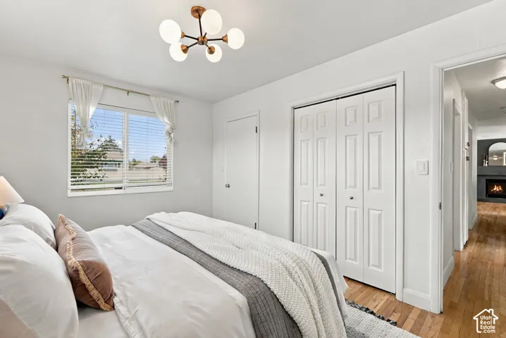 Mid-century style multi-globe ceiling fixture, wood-finish flooring, dual-panel closet doors, and multi-pane window
