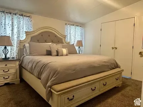 Room featuring dual windows, carpeted flooring, and a closet with double doors
