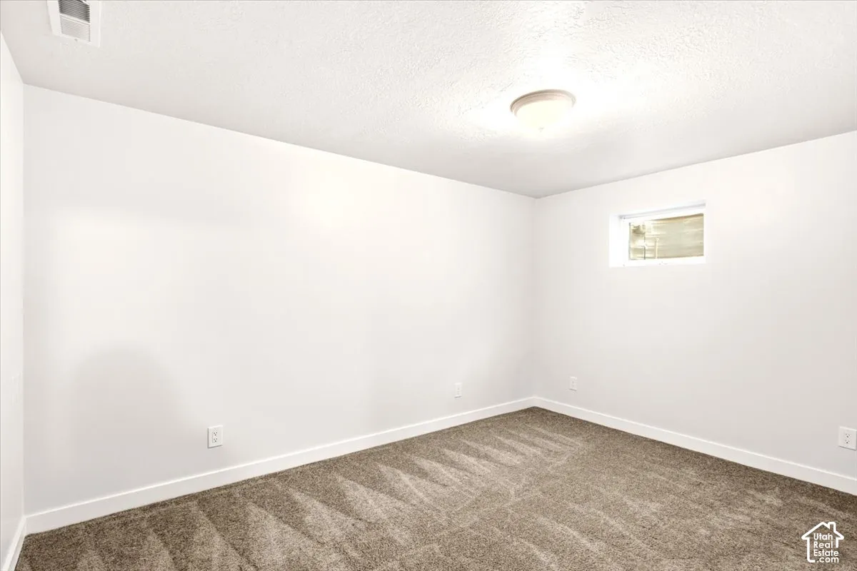 Neutral-toned carpet flooring, smooth walls with a matte finish, flush-mount ceiling lighting, and a high-set egress window