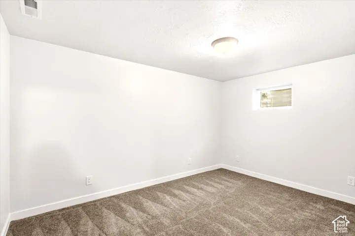 Neutral-toned carpet flooring, smooth walls with a matte finish, flush-mount ceiling lighting, and a high-set egress window