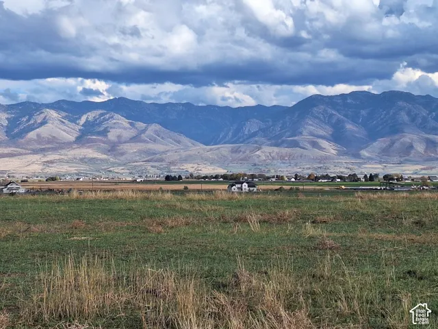Expansive, open acreage featuring rugged mountain backdrops and natural grass terrain