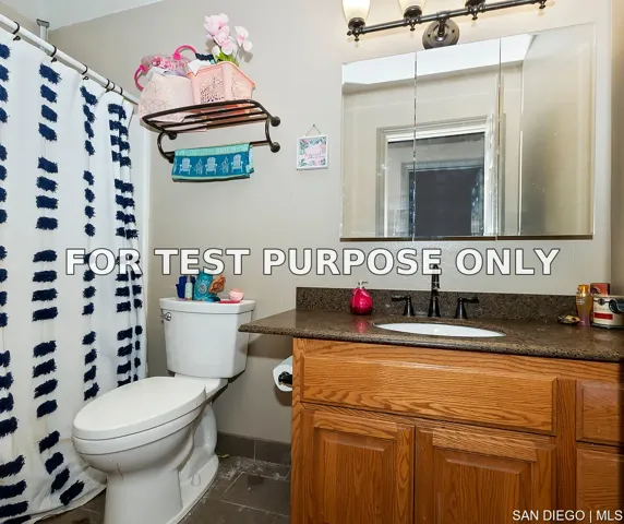 Demo/Test Data 667 Holmes Ln, Sugarloaf, Ca 92386