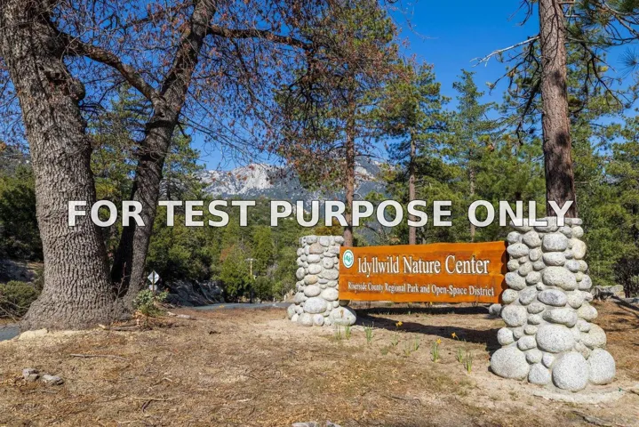 Demo/Test Data 0000 Logan Creek Dr. Unit 559082011, Idyllwild, Ca 92549
