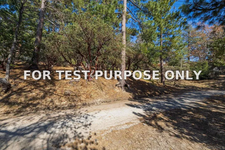 Demo/Test Data 0000 Logan Creek Dr. Unit 559082011, Idyllwild, Ca 92549