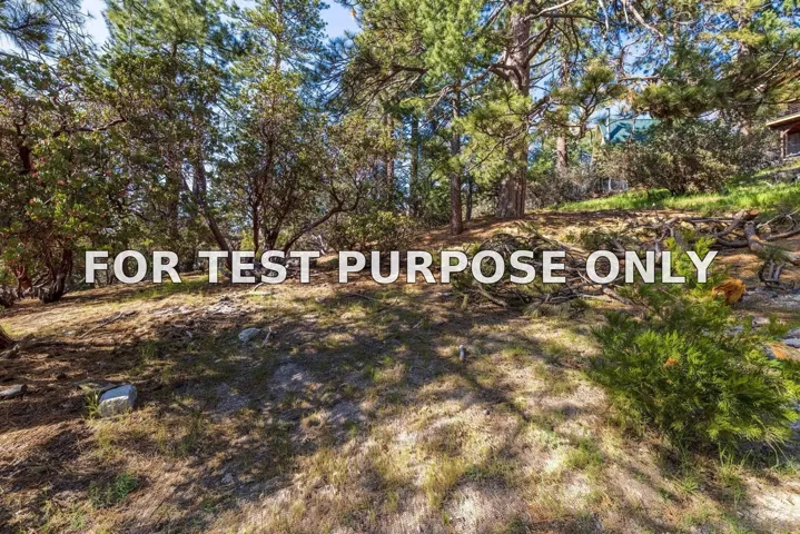 Demo/Test Data 0000 Logan Creek Dr. Unit 559082011, Idyllwild, Ca 92549
