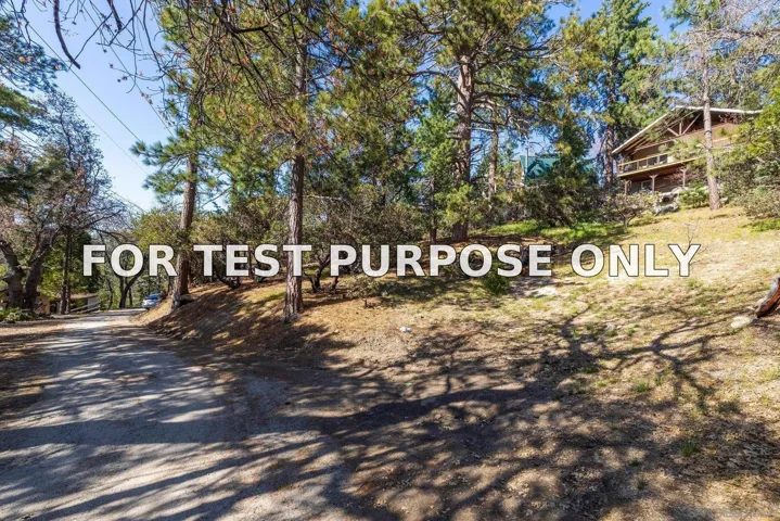 Demo/Test Data 0000 Logan Creek Dr. Unit 559082011, Idyllwild, Ca 92549