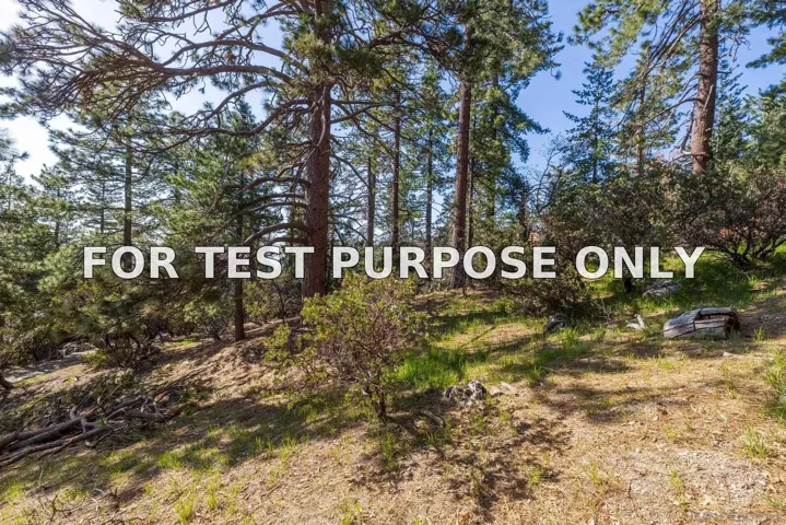 Demo/Test Data 0000 Logan Creek Dr. Unit 559082011, Idyllwild, Ca 92549