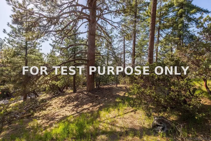Demo/Test Data 0000 Logan Creek Dr. Unit 559082011, Idyllwild, Ca 92549