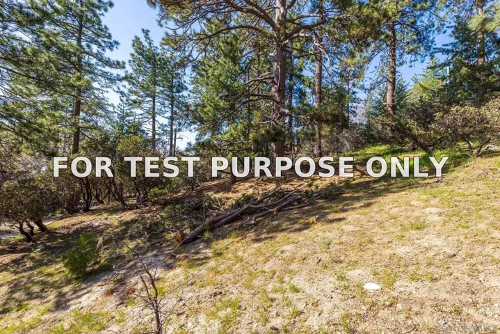 Demo/Test Data 0000 Logan Creek Dr. Unit 559082011, Idyllwild, Ca 92549