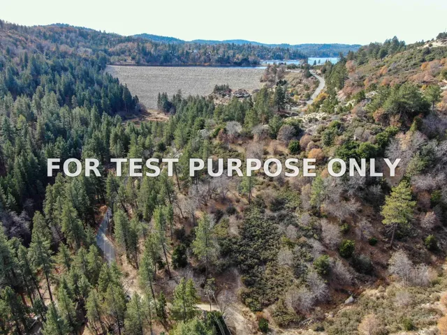 Demo/Test Data 29522 Torrey Road Unit 78, Cedar Glen, Ca 92321