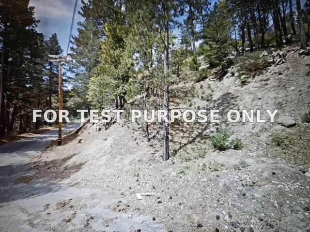 Demo/Test Data 29522 Torrey Road Unit 78, Cedar Glen, Ca 92321