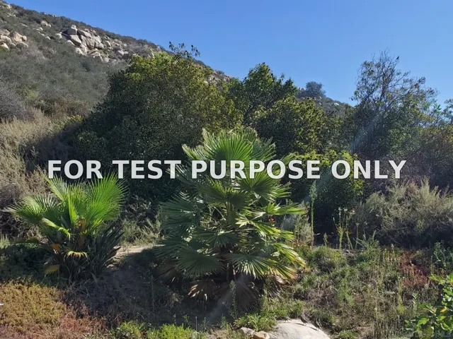 Demo/Test Data 1088 Deer Springs Rd, San Marcos, Ca 92069
