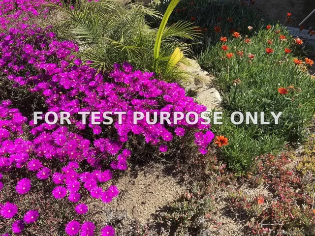 Demo/Test Data 1088 Deer Springs Rd, San Marcos, Ca 92069