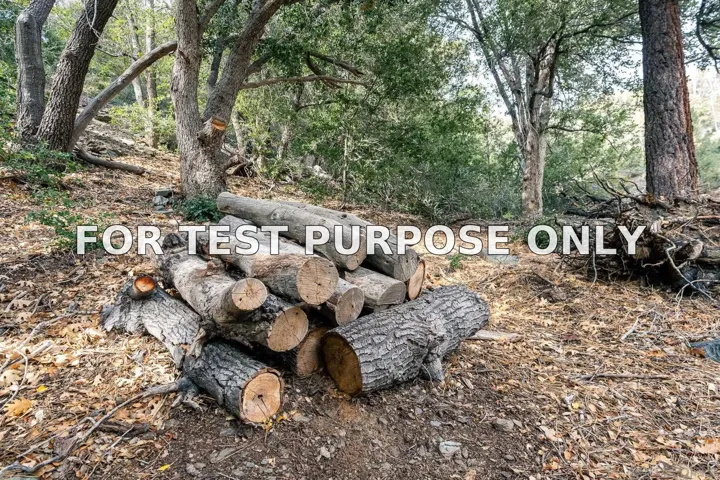 Demo/Test Data 0 Timberline Dr Unit 0, Wrightwood, Ca 93544